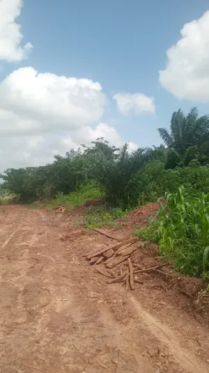 Alpha Investment Land for Sale at Kasoa Buduatta