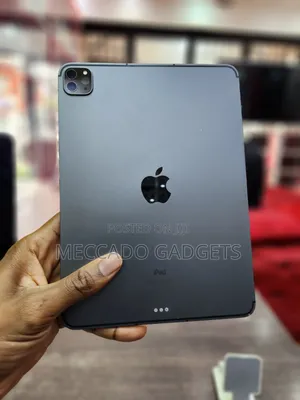 Apple iPad Pro 11 (2021) 256 GB Gray