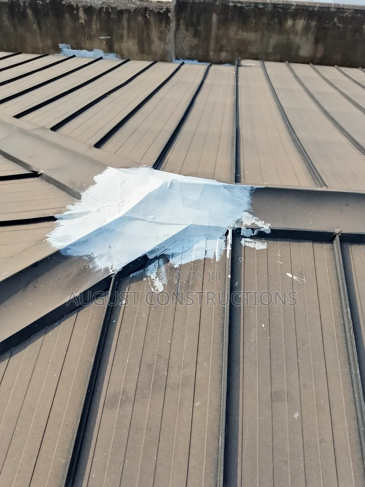 Secret Roof Gutter Treatment