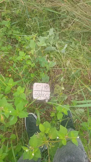 Genuine Estate Company Land for Sale at Nsawam Ayibontey