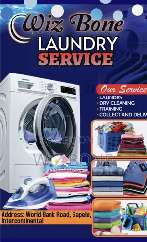 Wiz Bone Laundry Services