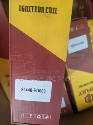 Nissan Coils 2015