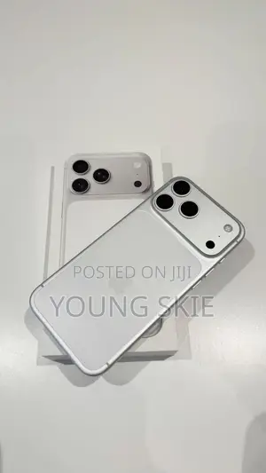 Apple iPhone 17 Pro Max 256 GB Silver