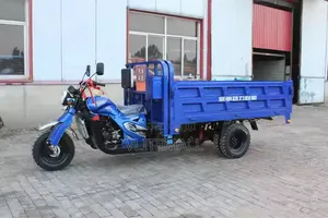 New Tricycle 2026 Blue