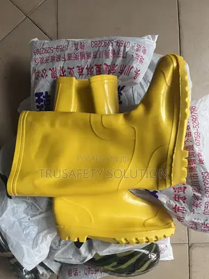 Wellington Boot