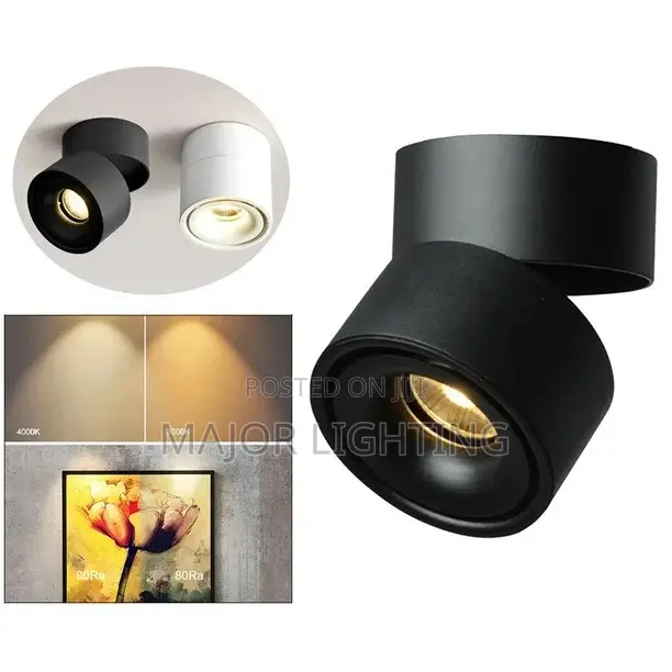 Ceiling Light