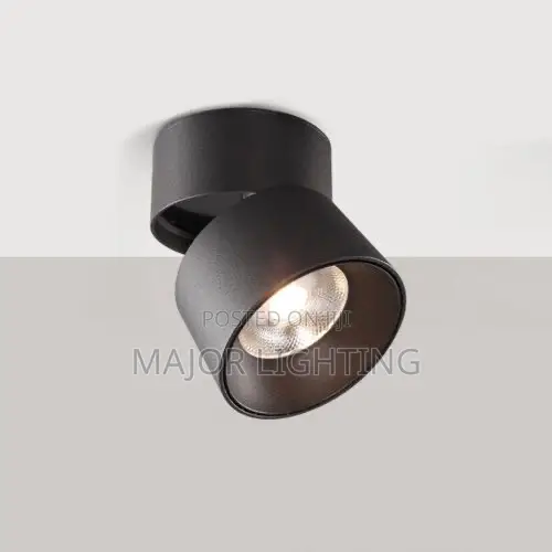 Ceiling Light