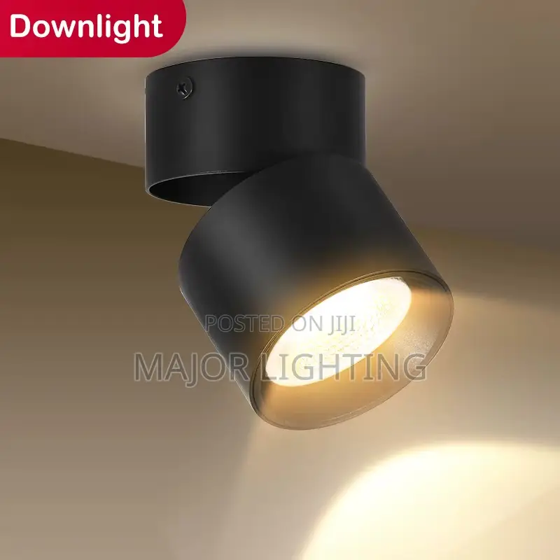 Ceiling Light