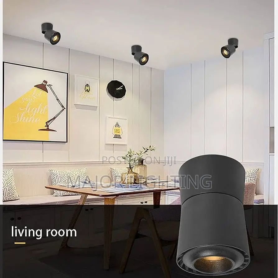 Ceiling Light