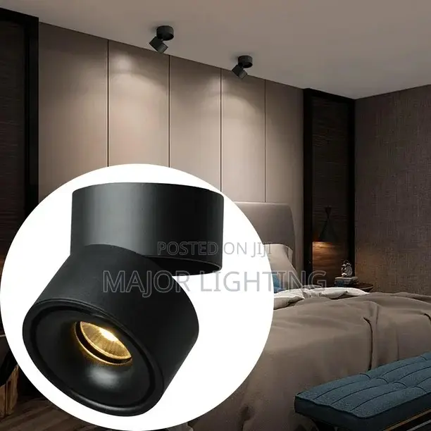 Ceiling Light