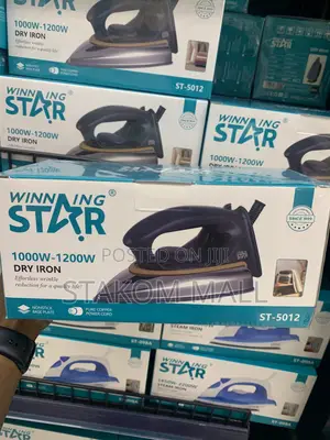 Electric Steam Iron