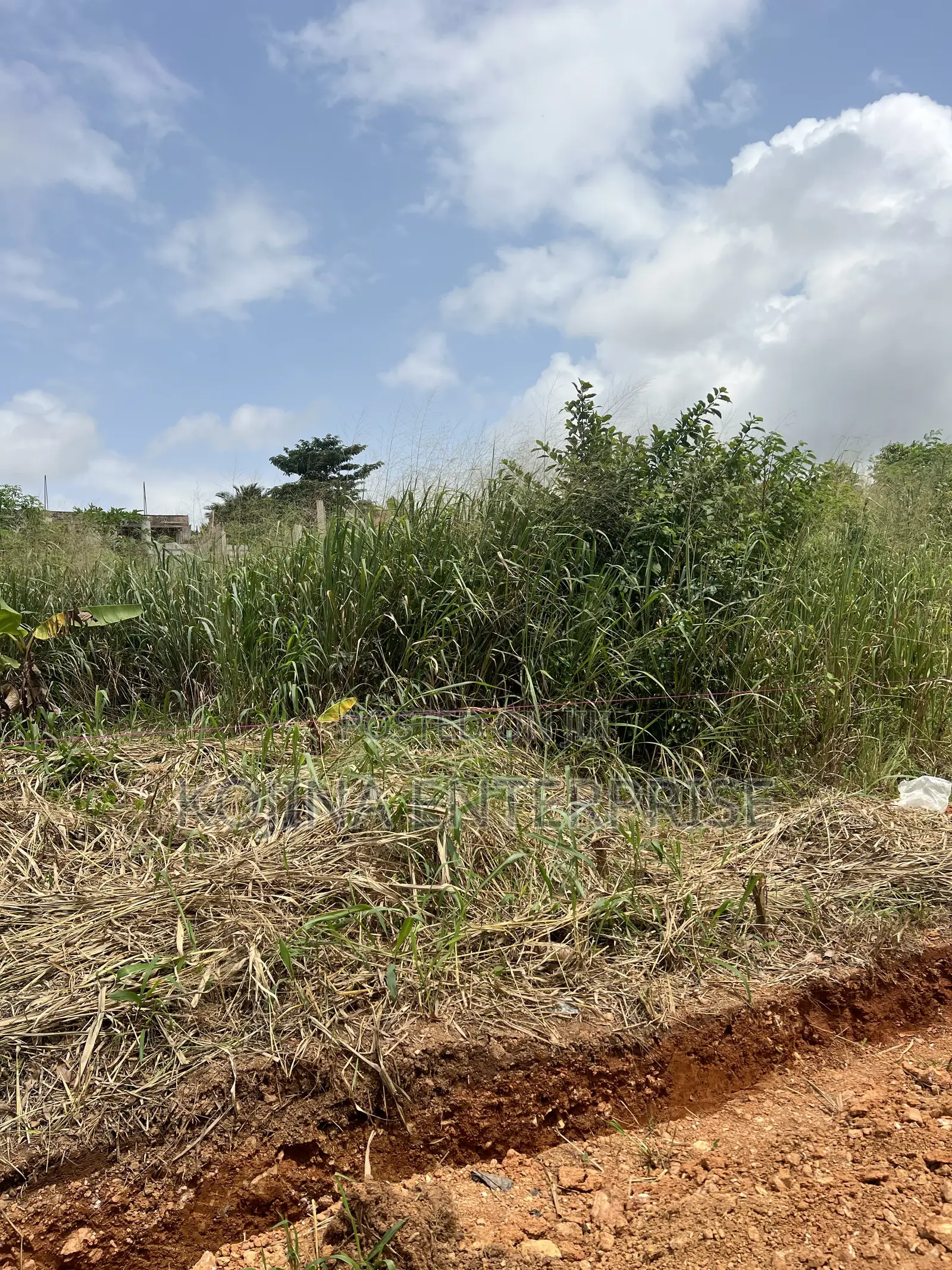Plots for Sale at Pakyi No. 2