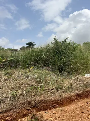 Plots for Sale at Pakyi No. 2