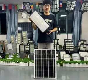 Solar Flood Light