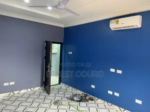 Professional Painter