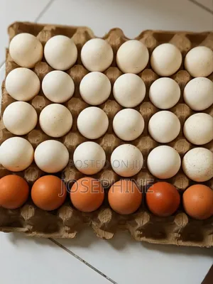 Fresh Eggs