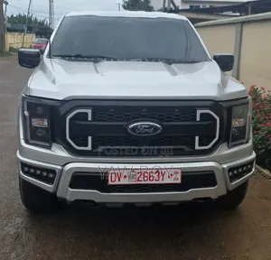 Ford F-150 2022 Silver