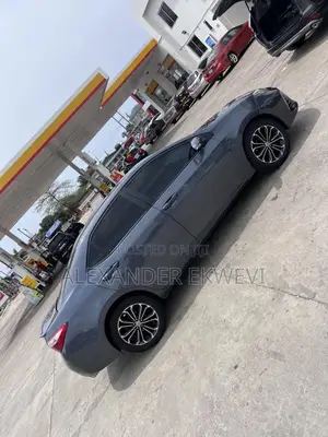Car Rental