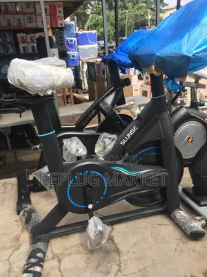 Home Silent Spinning Bike, Unisex High End Aerobic Exercise Bike