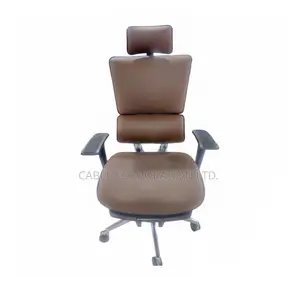 Ergonomic Office Chair With Footrest