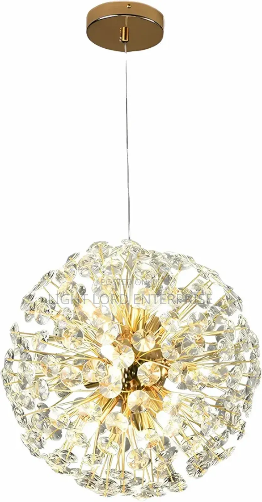 Grap Ring Hanging Light