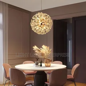 Grap Ring Hanging Light