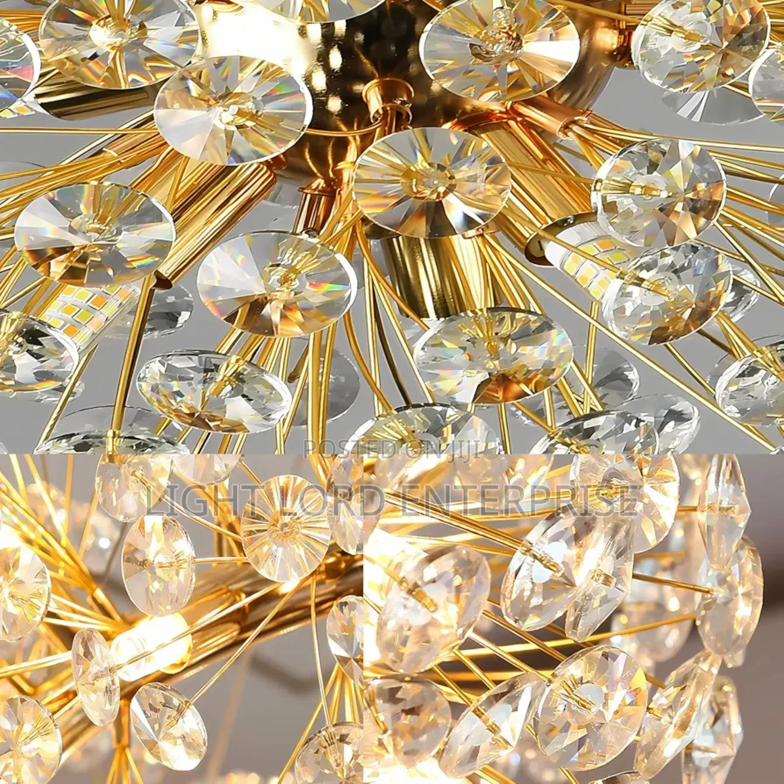 / Porcupines Shell Hanging Light