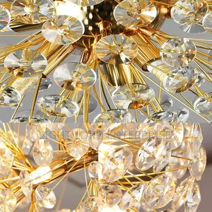 / Porcupines Shell Hanging Light
