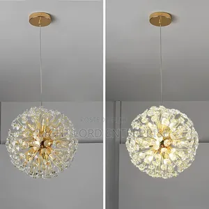 / Porcupines Shell Hanging Light