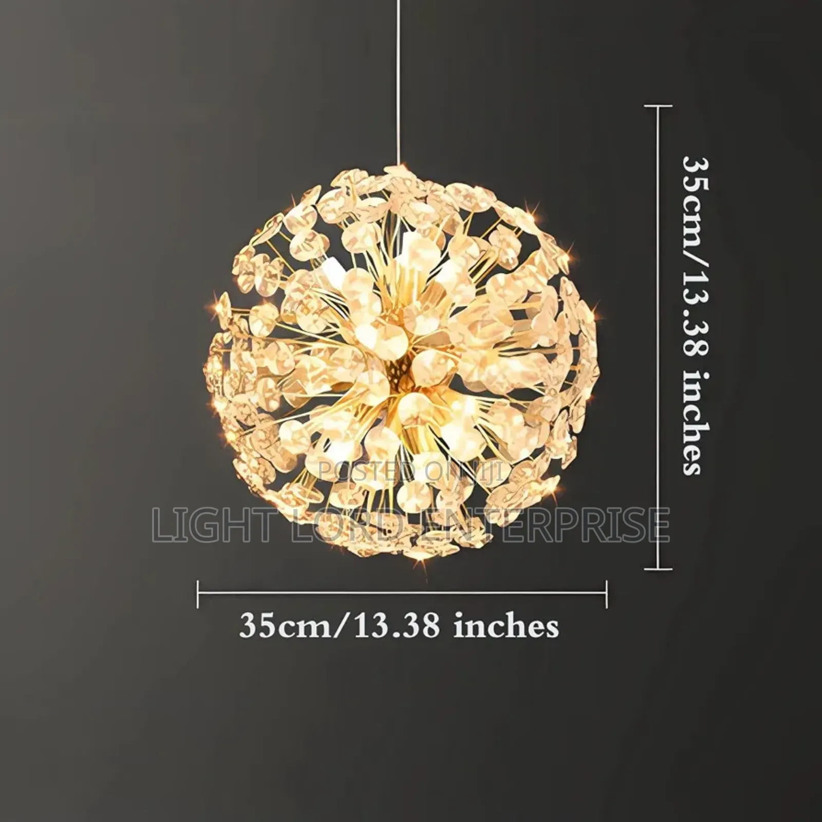 / Porcupines Shell Hanging Light