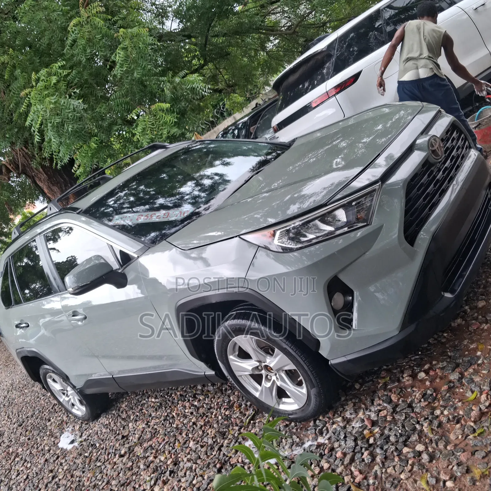 Toyota RAV4 XLE AWD 2019 Green