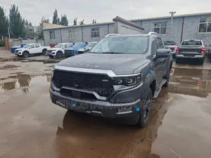 New Foton Tunland 2025 Gray