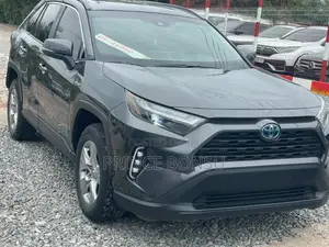 Toyota RAV4 XLE Premium 2022 Gray