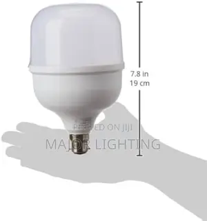 Light Bulbs