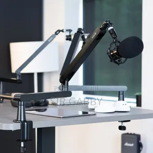 Phantom Mic Holder