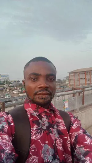 Personal Driving and Yango Delivery