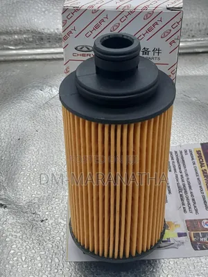 Oil Filter for Cherry and Other Chinese Car Brands