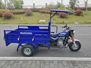 New Tricycle 2026 Blue