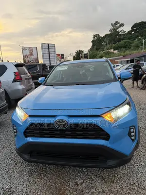 Toyota RAV4 XLE AWD 2019 Blue