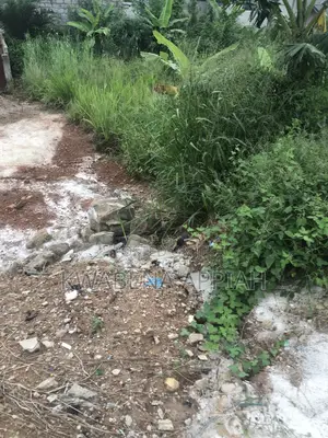Plot of Land Is on Sales at Ahinsan Estate