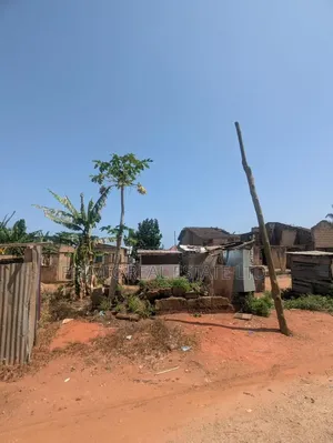 1 Plot of Land at Ofankor 7 Days for Sale