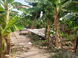 Half Plot of Land at Ayawaso for Sale