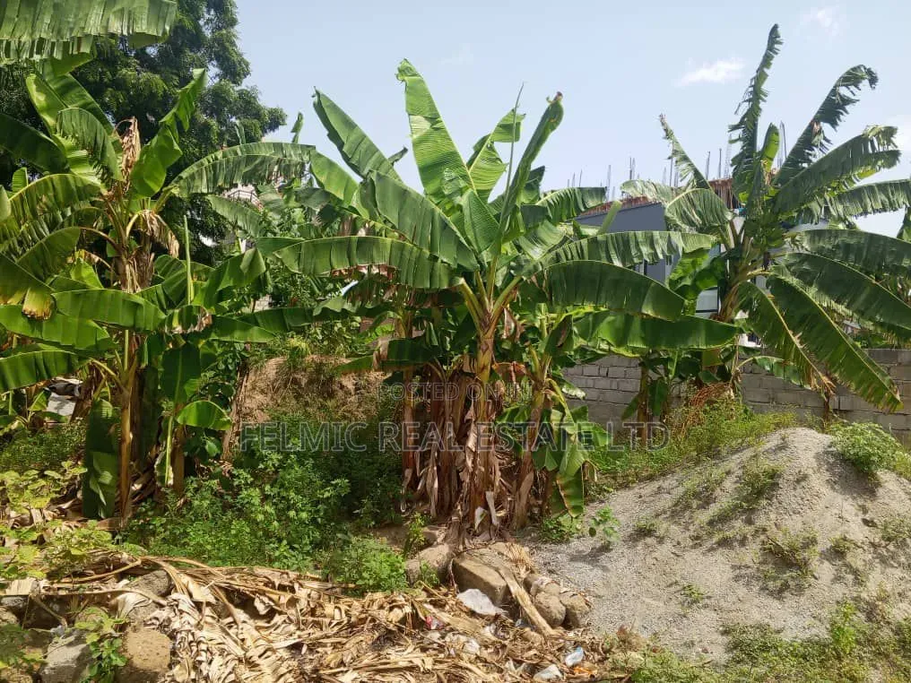 Half Plot of Land at Ayawaso for Sale