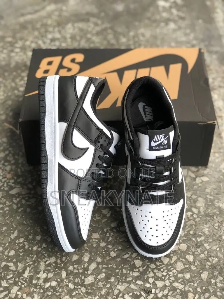 Nike Sb Low Dunks