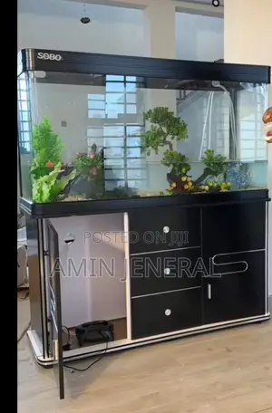 4 Feet Aquarium