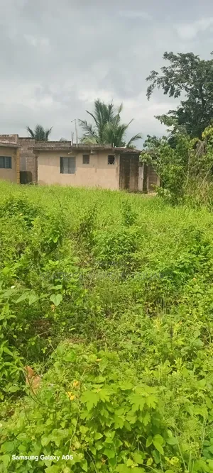 Half Plot of Land for Sale