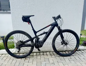 Electric Mountain Bike (E-Mtb)