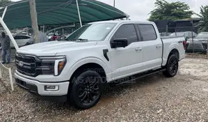 Ford F-150 LARIAT 2024 Gray