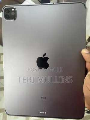 Apple iPad Pro 11 (2022) 256 GB Gray
