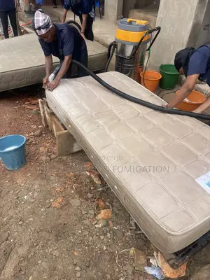 Bring Your Mattresses to Life